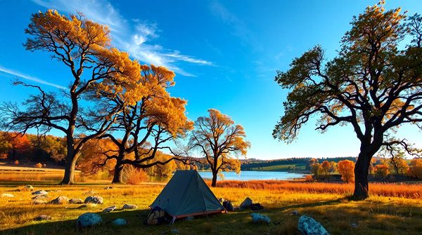 Unwind in nature: your guide to camping fontainebleau